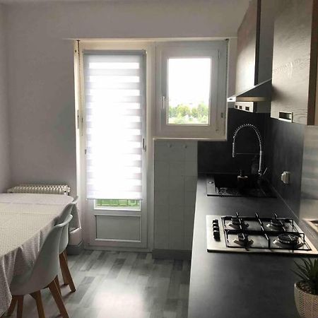 Riedisheim Tres Bel Appartement F4 Proche Gare מראה חיצוני תמונה