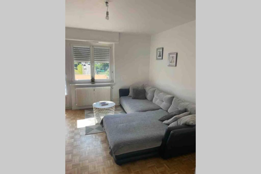 Riedisheim Tres Bel Appartement F4 Proche Gare מראה חיצוני תמונה